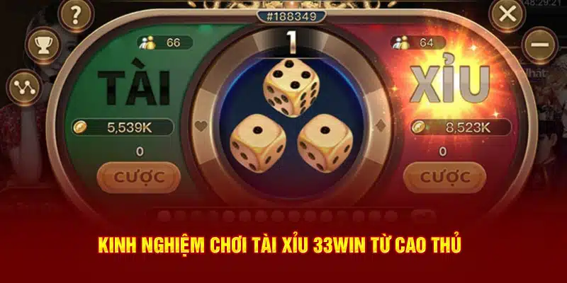 Kinh nghiệm chơi tài xỉu 33WIN từ cao thủ